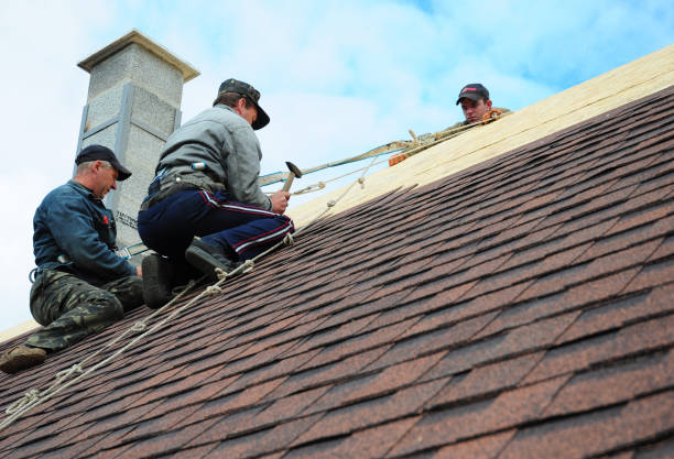 Best Storm Damage Roof Repair  in Pomona, NY
